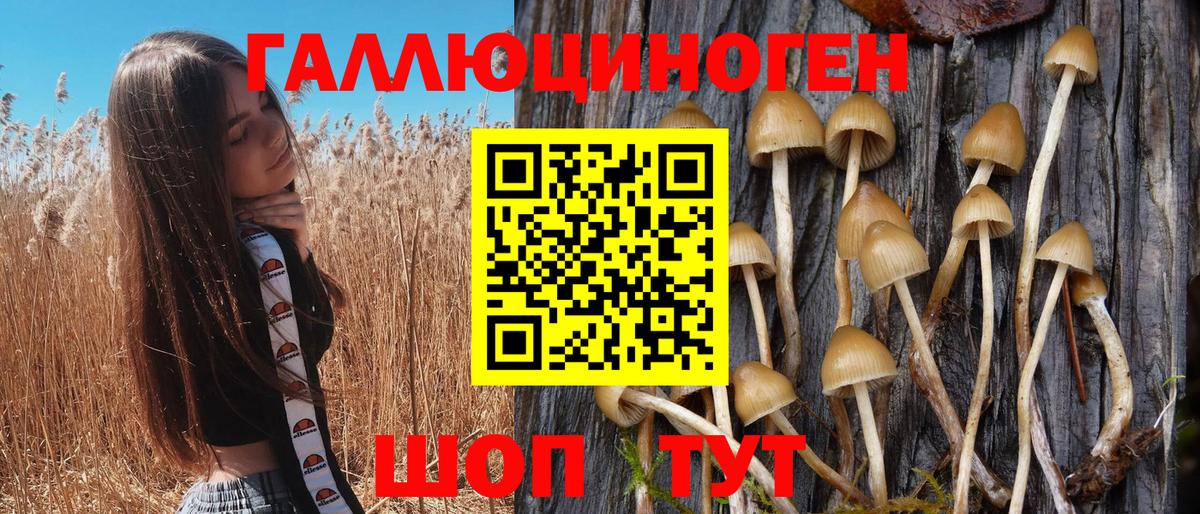 Шарыпово  Псилоцибиновые грибы Psilocybe  Псилоцибиновые грибы Cubensis  Вход с VPN 